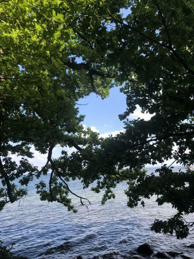 Luxury Villa By Lake Welcome You ヒョー エクステリア 写真